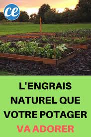 L Engrais Naturel Que Votre Potager Va Adorer Engrais Naturel Potager Jardinage Potager