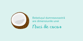 Meniul saptamanal este intotdeauna construit in jurul. InsÄƒrcinatÄƒ In 31 De SÄƒptÄƒmani La Ce SÄƒ Te AÈ™tepÈ›i