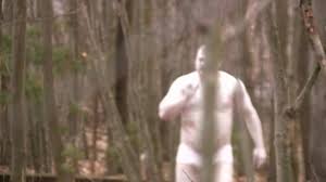 The yeti or abominable snowman is a folkloric ape like creature taller than an average human, that is said to inhabit the himalayan mountains the. Abominable Snowman Sighting Youtube