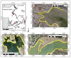 Remote Sensing Free Full Text Identifying Salt Marsh