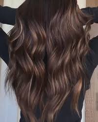 Les Cheveux Bruns En 2020 Cheveux Bruns Idee Couleur Cheveux Cheveux
