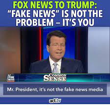And simply essential, an everyday basics line including over 1,200. Fox News To Trump Fake News Is Not The Problem It S You Sense Fox News Mr President It S Not The Fake News Media Acttv Fake Meme On Me Me
