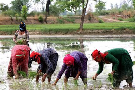 Empowering Women Farmers and Promoting Climate Resilience in Indian  Agriculture