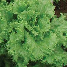 Image result for Lettuce Green 1977 Hussmann