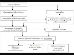 flow chart of soil pollution brainly in