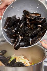 Das Grundrezept Fur Miesmuscheln Muscheln Rezept Miesmuscheln Zubereiten Muscheln Zubereiten