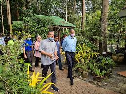 Kenali spesies herba dengan lebih dekat di setiap laman. Taman Herba Negeri Perlis Dr Shamsul Anuar Nasarah