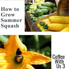 We did not find results for: How To Grow Summer Squash Coffee With Us 3