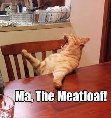 After Coming Home From College Funny Animal Pictures Animal Captions Bones Funny