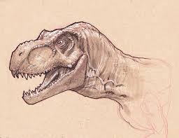 In this video, i take you through my core steps in principles on how to scale an indominus rex head. T Rex Head Study By Stephaneroux On Deviantart Dinosaur Illustration Dinosaur Art Dinosaur Drawing