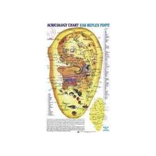 Ear Reflex Point Auricology Chart