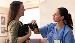 Image result