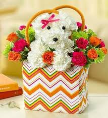 We love to provide flowers and gifts for your next. Absolutely Beautiful Flowers 574 1st Ave N Saint Petersburg Fl Florists 727 954 3924