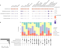 Image result for Enterobacteriaceae