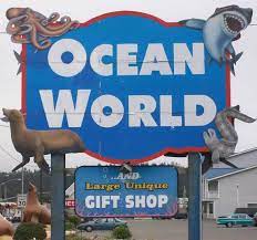 Modest sea life and watery wildlife attraction with naturally lit tanks and live shark petting. Ocean World Crescent City Ca California Beaches