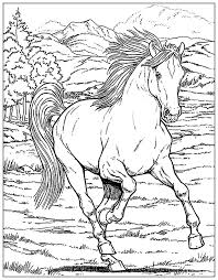 Pdf generator, jpg file, a4 size free to download Horses Coloring Pages For Adults