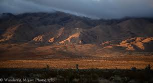 Wandering Mojave Hiking Services