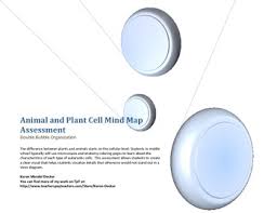 Diagram includes words and definitions. Plant And Animal Cell Double Bubble Mind Map By Karon Decker Tpt