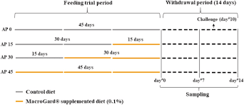 Fpb 45, 60 dan 75 45 = 3 x 3 x 3 x 5 60 = 2 x 2 x 3 x 5 75 = 3 x 5 x 5 jadi fpbnya 3 x 5 = 15 2. Dietary B Glucan Macrogard Improves Innate Immune Responses And Disease Resistance In Nile Tilapia Regardless Of The Administration Period Sciencedirect