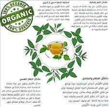 القراص هو احدى النباتات التي تنتمي لفصيلة القراصيات وتتعد فوائد القراص للجسم بشكل عام i wish shop فوائد شاي القراص يحتوي نبات القراص على كميات pill the 100