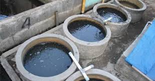 Untuk lele kebutuhan konsumsi tentu tidak boleh sembarangan air nya mengingat ikan lele tersebut akan diolah untuk aneka olahan makanan yang dikonsumsi oleh manusia. Panduan Cara Membuat Kolam Lele Dari Buis Beton Atau Gorong Gorong