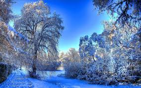 Beautiful Winter Snow Wallpaper 128355 Hd Wallpaper Backgrounds Download Find & download free graphic resources for winter. beautiful winter snow wallpaper