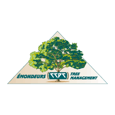 ✓ free for commercial use ✓ high quality images. Download Emondeurs Tree Management Logos Vector Eps Ai Cdr Svg Free