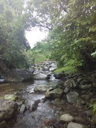   学科頻道 + 學生園地