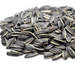 Sunflowers usually take 80 to 120 days to mature and produce new seeds, depending on the variety. Blog What Are The Health Benefits And Ingredients Of Fragrant Sunflower Seeds