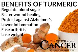 It should also be in a form with a much higher concentration than the naturally occurring foods. Benefits Of Turmeric For Cancer Treatment I Love A Dog
