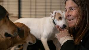 Dog tracker has helped hundreds of families reunite with their runaway pets 