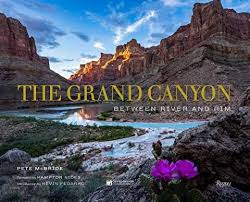 So, the more vulnerable the business is, assuming you still want to invest in it, the larger margin of safety you'd need. The Grand Canyon Between River And Rim