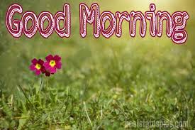 Below are many good morning quotes that you can use for all of the people who are in your life. 911 Beautiful Good Morning Nature Hd Images Pics 2021 Best Status Pics