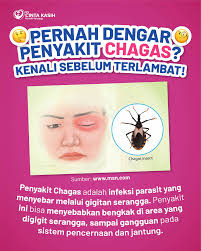 Gigitan serangga? Bisa jadi lebih dari sekadar gatal! Kenalin: si kecil  yang berbahaya — Chagas insect. Gigitan serangga ini bisa nyebarin penyakit  Chagas, bikin wajah bengkak dan organ dalam terganggu. Kalau kamu