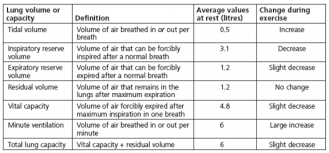 Topic 2 Exercise Physiology Ib