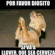 8cf4bbdefef2cbdf1856e875c8d38a7c Memes Chistosos De Borrachos Memes Borrachos Par Memes De Borrachos Chistosos Memes Graciosos De Borrachos Borrachos Chistosos