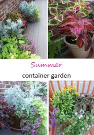 Late Summer In The Rooftop Container Garden Design Improvised