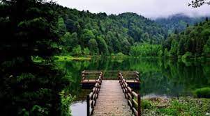 Maybe you would like to learn more about one of these? Gunubirlik Artvin Borcka Karagol Turu Domestika