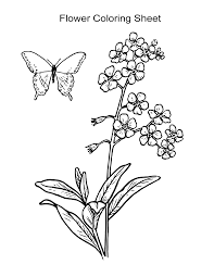 Here you can find numerous butterfly coloring pages that can be easily printed for free. 10 Flower Coloring Sheets For Girls And Boys All Esl
