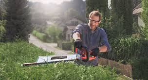 Wann ist es verboten und warum? Hecke Schneiden Wann Es Erlaubt Ist Und Wie Du Am Besten Vorgehst Einhell Blog
