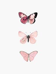 You can also upload and share your favorite cute aesthetic pink butterfly wallpapers. Pink Butterfly Wallpaper Mariposas Aesthetic Novocom Top