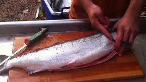 How To Break Down Or Process A Salmon. Gut, Gill, Fillet, Skin, De-Bone. -  Youtube