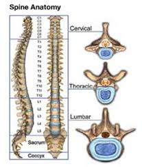 Stenosis Austin Spine Surgery
