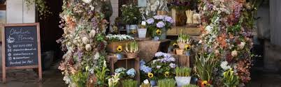 Which of these have gone dark for earth hour? Clapham Flowers Your Florist In Clapham Since 2002 Delivery In Clapham London And Surrey