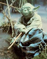 Image result for yoda image