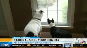 National dog happy flag dogs american quotes puppy wish days august funny latest doggie pet furbabies celebrate chow hunde mom. National Spoil Your Dog Day