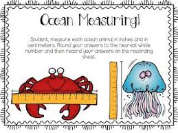 A Day In First Grade Ocean Weeks Continue Peek At My Week Ocean Theme Classroom Ocean Lesson Plans Ocean Kindergarten