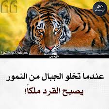 pin by azhar alkenany on صور words of wisdom wisdom words