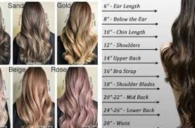 Useful Hair Charts Hair Chart Pinwheel Hair Color Hair Color Techniques