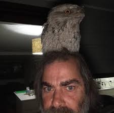 Does anyone know of a loading ramp near Tweed Heads or within an hour or so  south of the Qld/Nsw border?